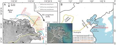 Development and distribution of submarine channels associated with sediment gravity flows in the modern Huanghe (Yellow River) subaqueous delta